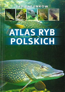 Obrazek Atlas ryb polskich 140 gatunków