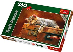 Obrazek Puzzle Słodki sen 260