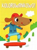 polish book : Kolorowank...