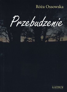 Picture of Przebudzenie