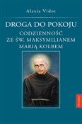 Książka : Droga do p... - Alexia Vidot