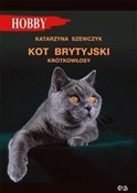 Zobacz : Kot brytyj... - Katarzyna Szewczyk