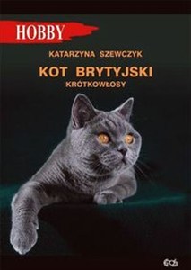Obrazek Kot brytyjski krótkowłosy