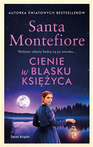 Picture of Cienie w blasku księżyca