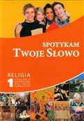 Polska książka : Spotykam T... - Paweł Mąkosa