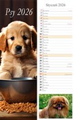polish book : Kalendarz ...
