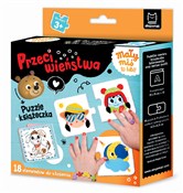 Mały miś t... - Anna Podgórska -  books from Poland