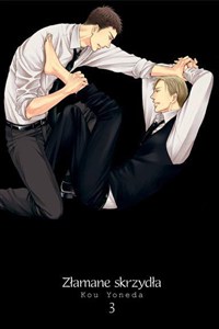 Obrazek Złamane skrzydła 3