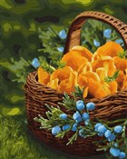 Malowanie ... -  books from Poland