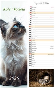 Obrazek Kalendarz 2026 paskowy Koty