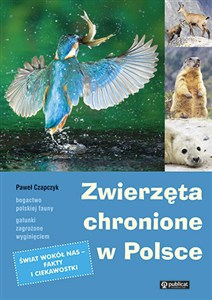 Obrazek Zwierzęta chronione w Polsce