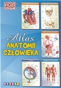 Ilustrowan... - Opracowanie Zbiorowe -  foreign books in polish 