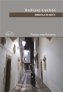 Picture of Światła w nocy