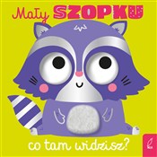 Polska książka : Mały szopk...