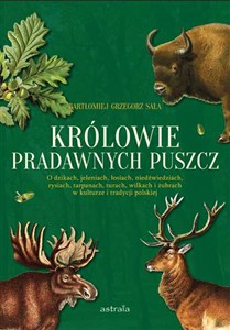 Obrazek Królowie pradawnych puszcz