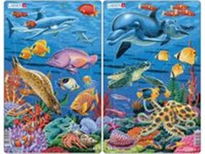 Obrazek Rafa koralowa zestaw