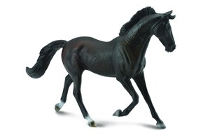 Obrazek Klacz Thoroughbred maści czarnej