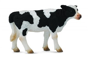 Obrazek Cielę stojące