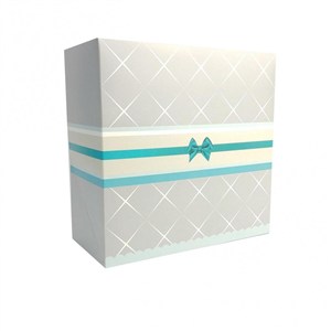 Picture of Pudełko 245x210x70cm Srebro 5szt.