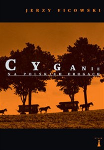 Obrazek Cyganie na polskich drogach