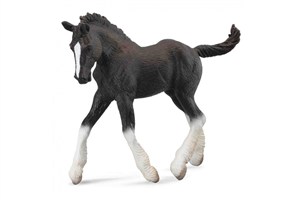 Obrazek Źrebię rasy Shire czarne