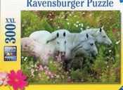 Książka : Puzzle XXL...