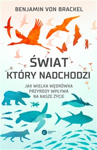 Obrazek Świat który nadchodzi Jak wielka wędrówka przyrody wpływa na nasze życie