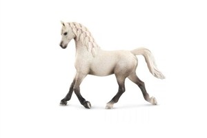 Picture of Klacz rasy arabskiej