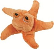 polish book : Rozgwiazda...