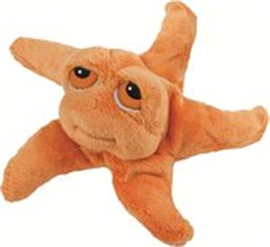 Picture of Rozgwiazda Astro 15 cm