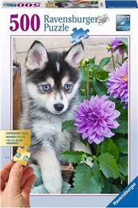 Picture of Puzzle 500 Szczeniak husky