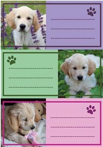 Obrazek Naklejki szkolne - Pieski 9szt