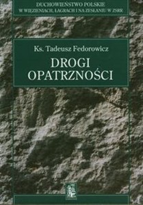 Picture of Drogi opatrzności