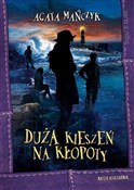 Polska książka : Duża kiesz... - Agata Mańczyk
