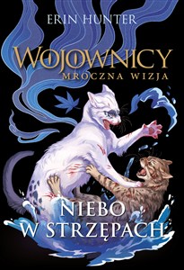 Obrazek Niebo w strzępach Wojownicy Mroczna wizja Tom 3