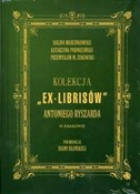 Kolekcja E... - Halina Marcinkowska, Katarzyna Podniesiona, Przem -  Książka z wysyłką do UK