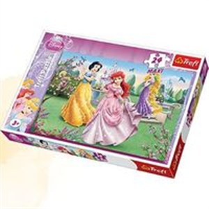 Picture of Puzzle Maxi  Księżniczki Przy fontannie 24