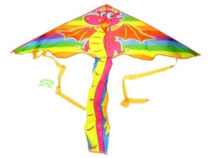 Picture of Latawiec Smok