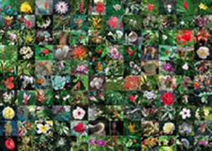 Obrazek Puzzle Blossoms 1000