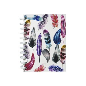 Picture of Kołonotes A6 Pióra