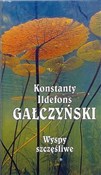 Zobacz : WYSPY SZCZ... - KONSTANTY ILDEFONS GAŁCZYŃSKI
