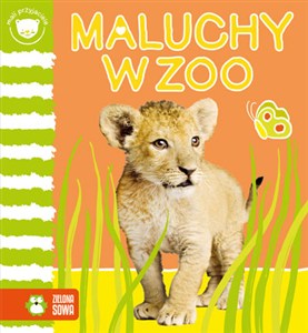 Picture of Maluchy w zoo Mali przyjaciele
