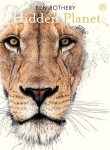 Obrazek Hidden Planet