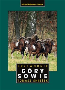 Picture of Góry Sowie. Przewodnik