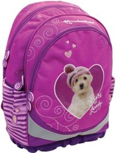 Obrazek Plecak Ergonomiczny Rachael Hale