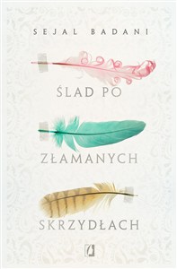 Obrazek Ślad po złamanych skrzydłach