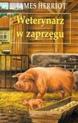 polish book : Weterynarz... - James Herriot