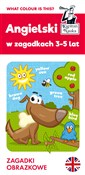 polish book : Angielski ... - Barbara Jakubowska