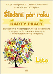 Obrazek Śladami pór roku. Lato Karty pracy dla uczniów z niepełnosprawnością intelektualną w stopniu umiarkowanym, znacznym i niepełnosprawnością sprzężoną
