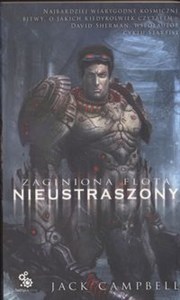 Obrazek Zaginiona flota Nieustraszony